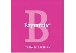 Bayramix-logo.jpg